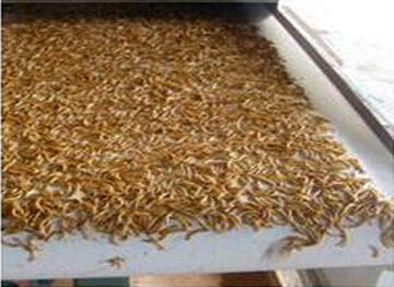 微波食品膨化設備